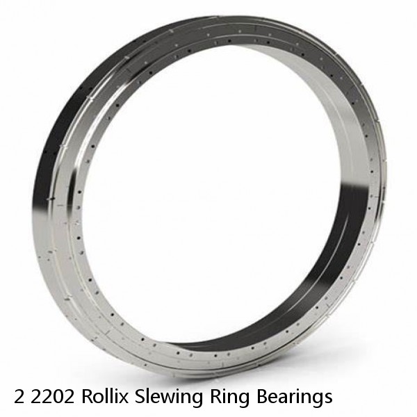 2 2202 Rollix Slewing Ring Bearings #1 small image