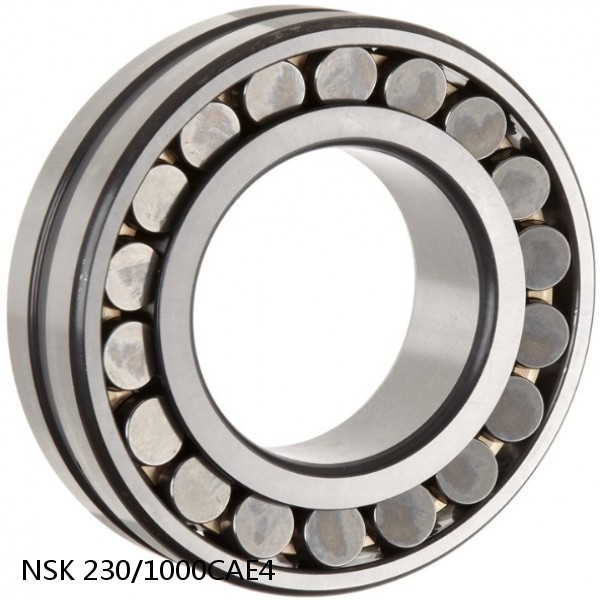 230/1000CAE4 NSK Spherical Roller Bearing #1 small image