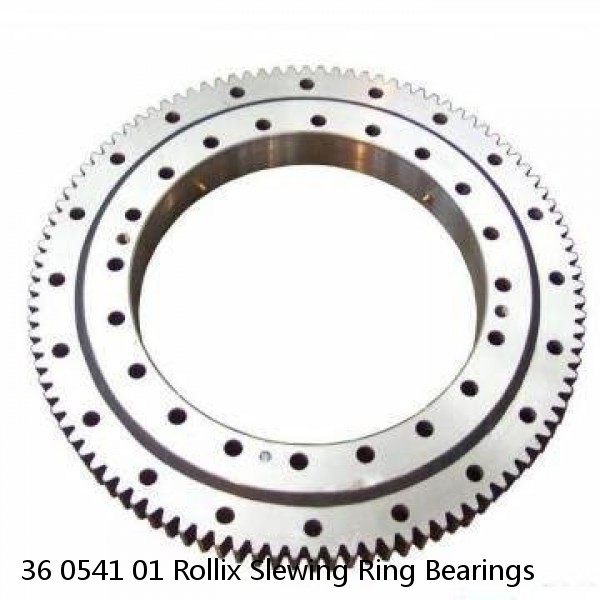 36 0541 01 Rollix Slewing Ring Bearings #1 small image