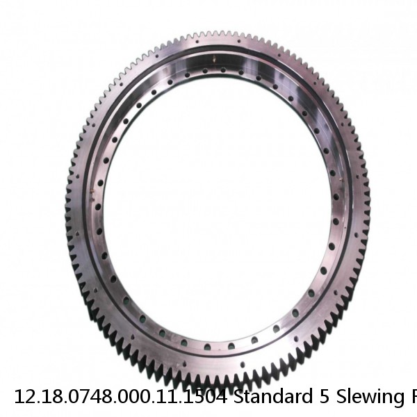 12.18.0748.000.11.1504 Standard 5 Slewing Ring Bearings #1 small image
