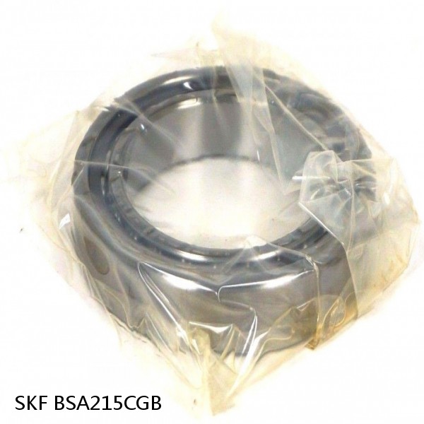 BSA215CGB SKF Brands,All Brands,SKF,Super Precision Angular Contact Thrust,BSA #1 small image