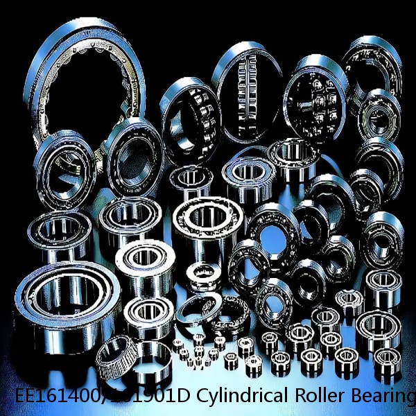 EE161400/161901D Cylindrical Roller Bearings #1 small image