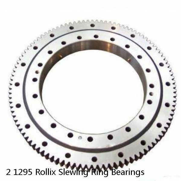 2 1295 Rollix Slewing Ring Bearings #1 small image
