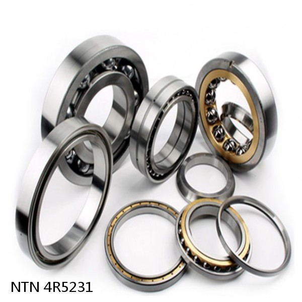 4R5231 NTN Cylindrical Roller Bearing #1 small image