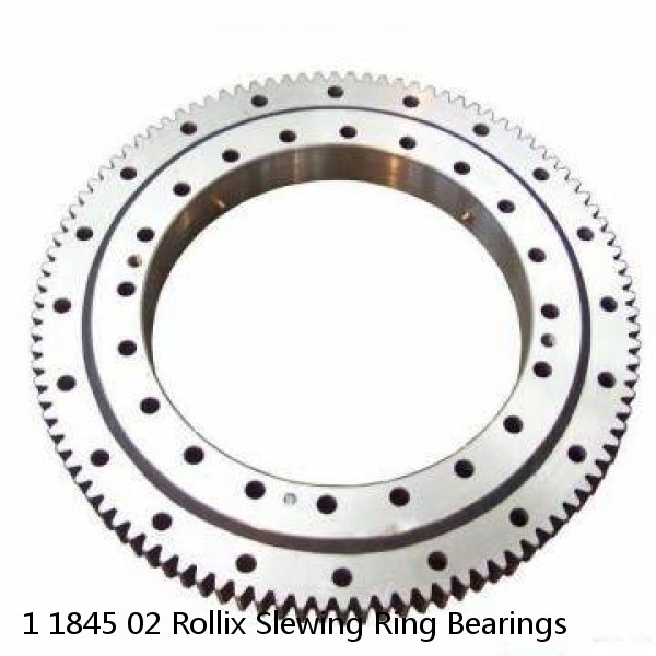 1 1845 02 Rollix Slewing Ring Bearings #1 image