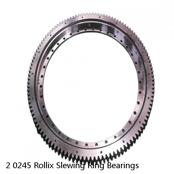 2 0245 Rollix Slewing Ring Bearings #1 image