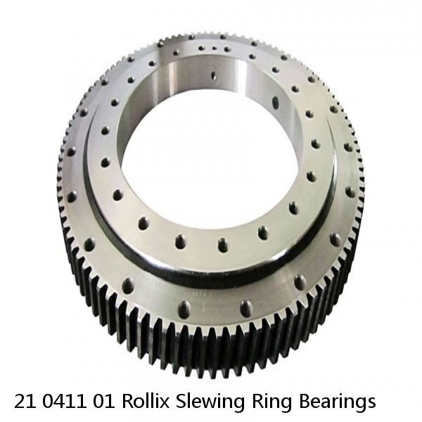21 0411 01 Rollix Slewing Ring Bearings #1 image