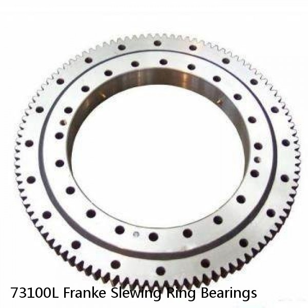 73100L Franke Slewing Ring Bearings #1 image