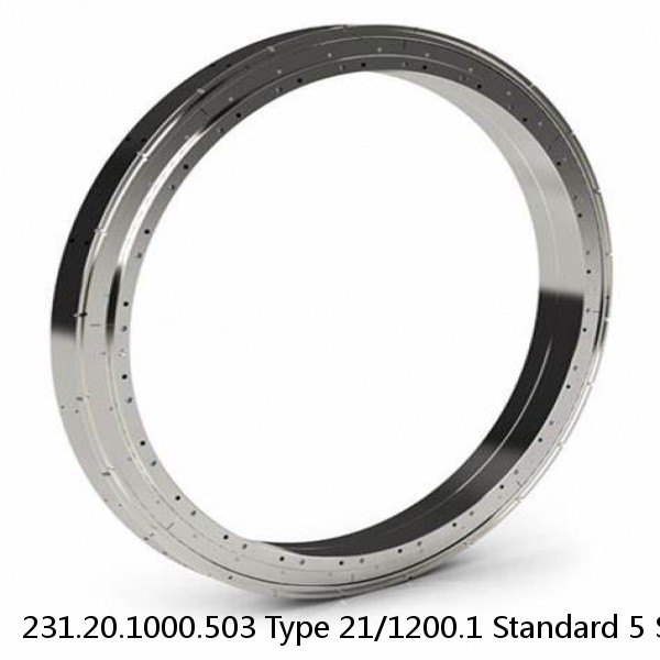 231.20.1000.503 Type 21/1200.1 Standard 5 Slewing Ring Bearings #1 image
