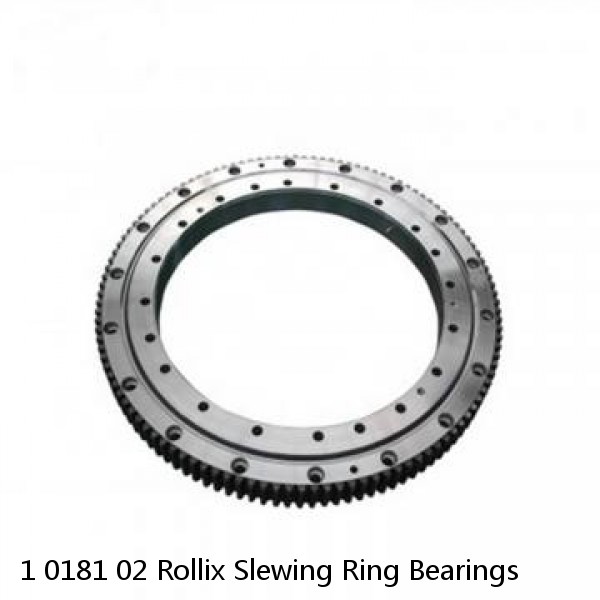 1 0181 02 Rollix Slewing Ring Bearings #1 image